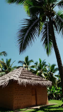 traditional hut in a tropical garden