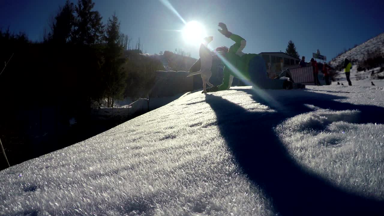 4k 영상: 불테리어 강아지가 남자에게 놀이를 하면서 공격하려고 합니다.