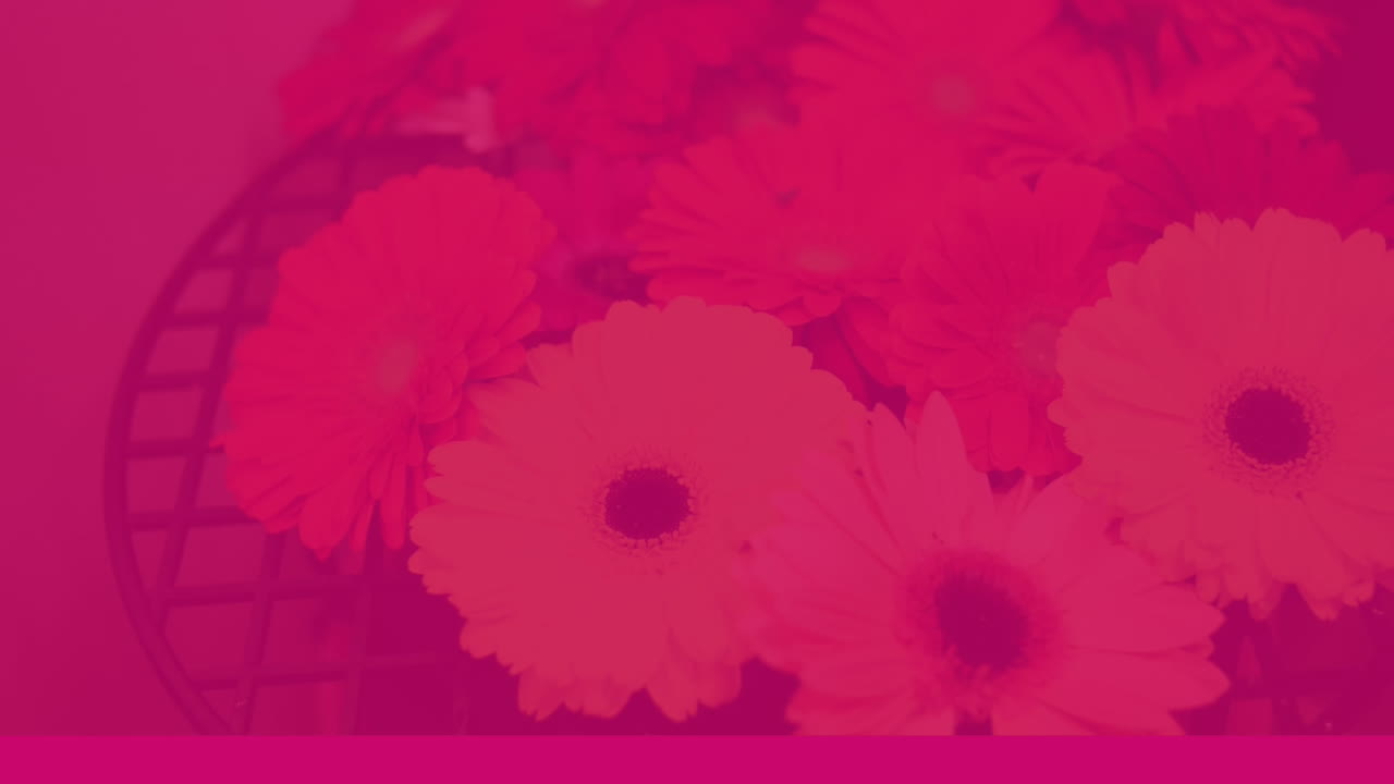Animazione del testo 'Be Mine' su banner bianco con fiori su sfondo rosa a fantasia floreale