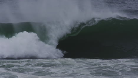 Tubing green wave breaking left with backlit lip and clean shape over shallow reef, heavy with mist rising off top