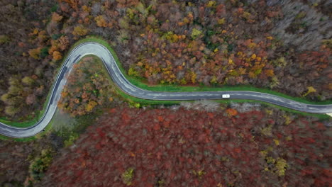 aerial view of winding road through autumn forest