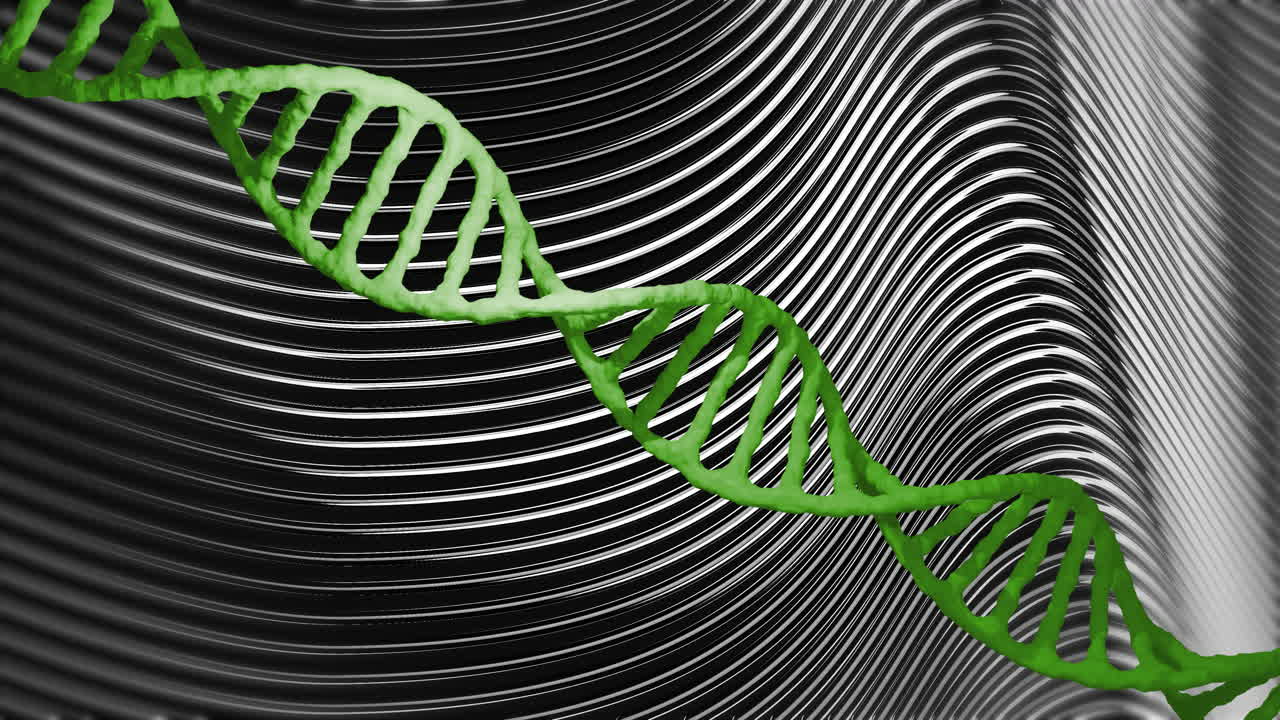 cadena de adn sobre líneas onduladas blancas y negras, concepto científico