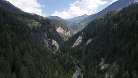 swiss alps mountains valley spruce pine tree forest, nature switzerland