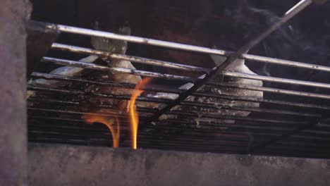 two fish grilling in hot coal with fire shot in slow motion from a low angle