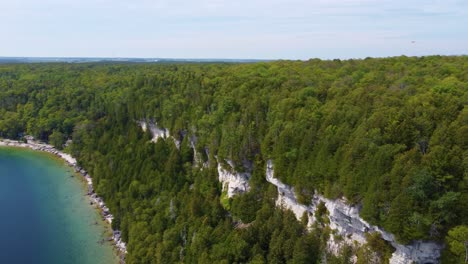 forested white cliff on georgian bay shore