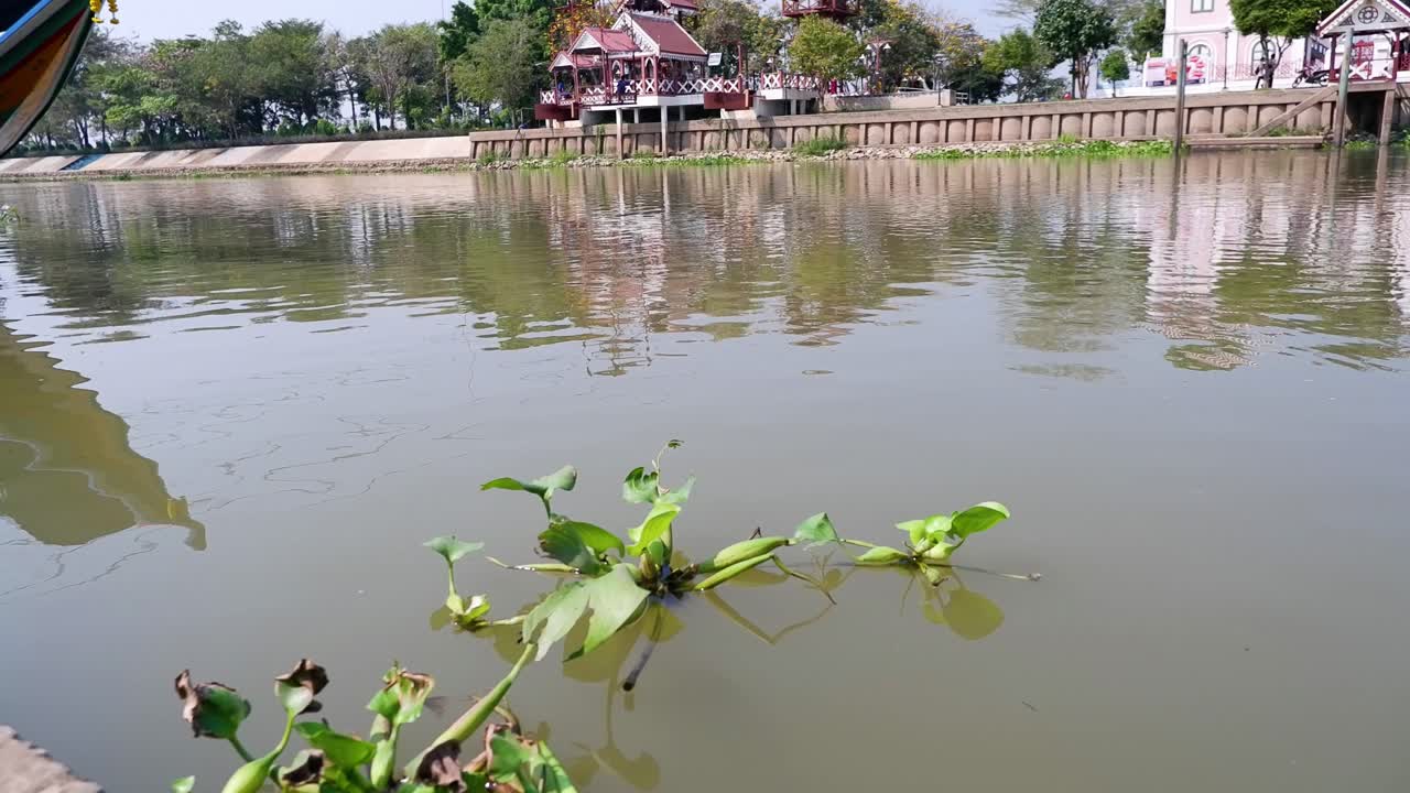 loto flotando en el río en ayutthaya, tailandia