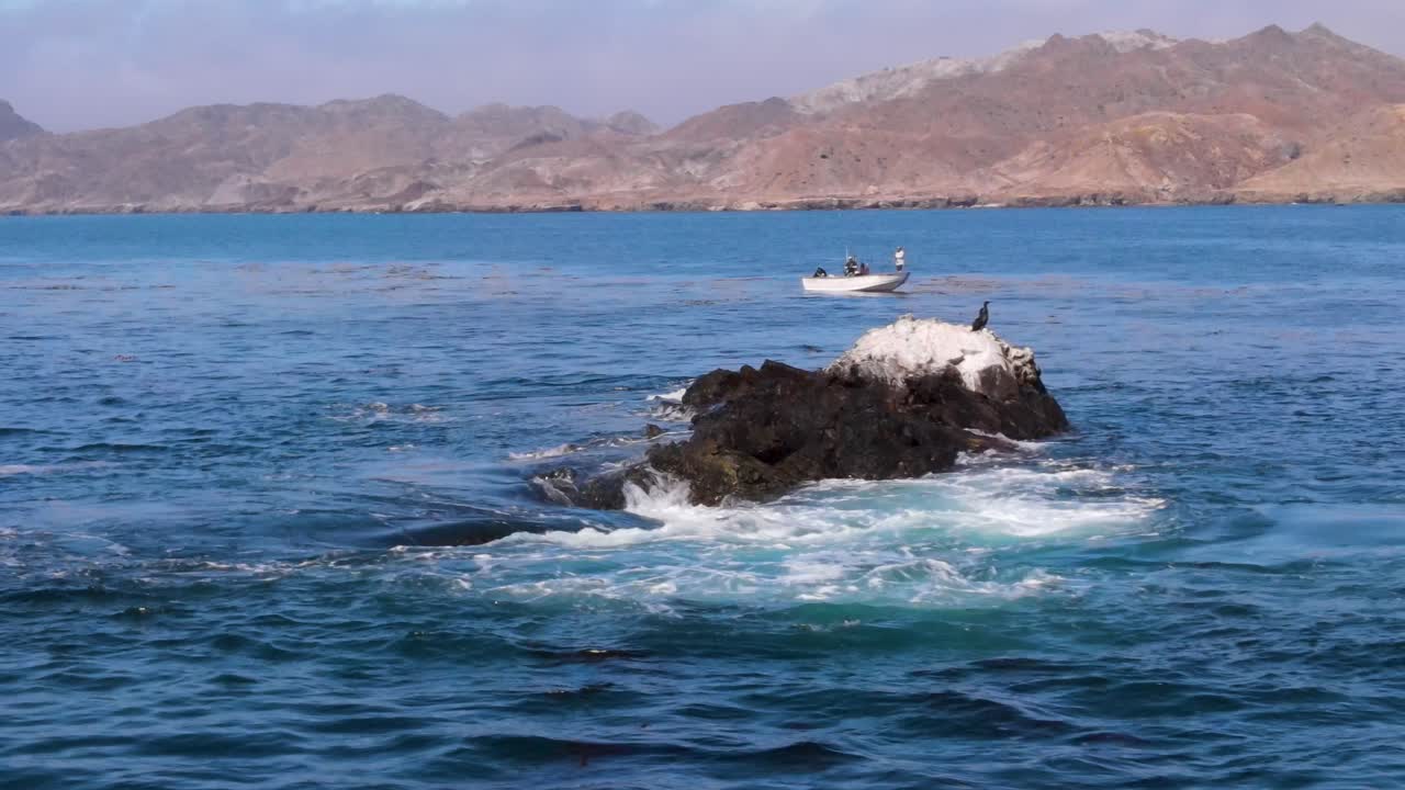 A small rocky island near Cedros Island with waves crashing and vibrant blue waters, berds perched and boat floating behind