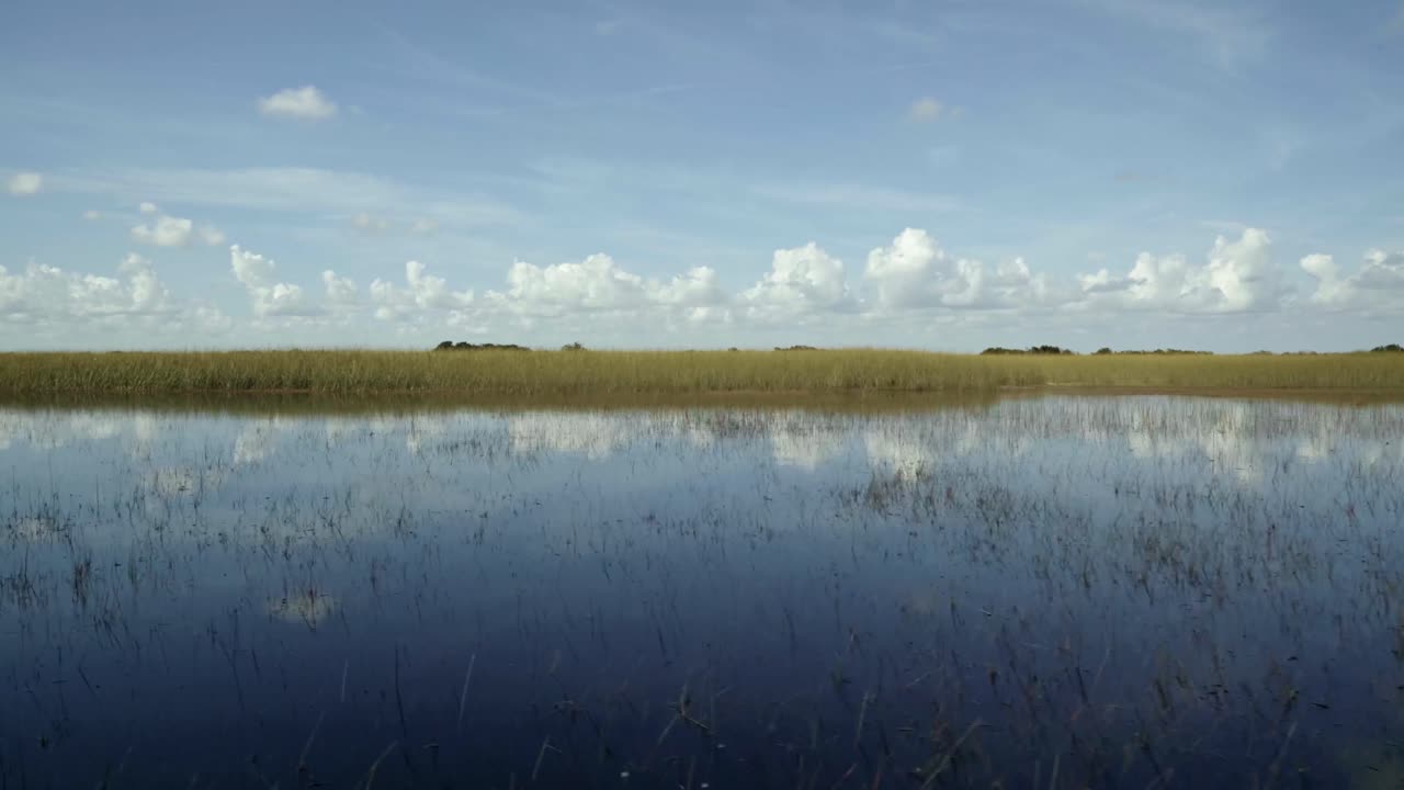 마이애미 근처의 멋진 플로리다 에버글레이드의 빠른 트럭 왼쪽  ⁇ 은 평온한 습지 물과 함께 에어보트를 타고 하늘을 반사하고  ⁇ 은 날에 높은 풀로 둘러싸인 환영을 만 ⁇ 니다.