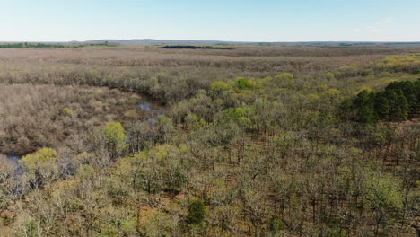 Vista-Panorámica-De-Los-Bosques-En-El-área-De-Manejo-De-Vida-Silvestre-Del-Estado-De-Bell-Slough-Cerca-De-Mayflower,-Arkansas,-EE.UU.