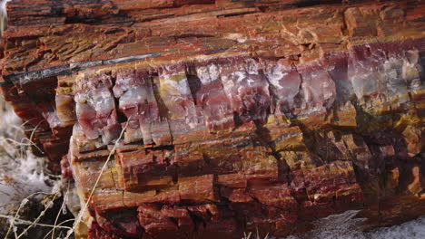 gimbal shot of petrified wood in the petrified forest