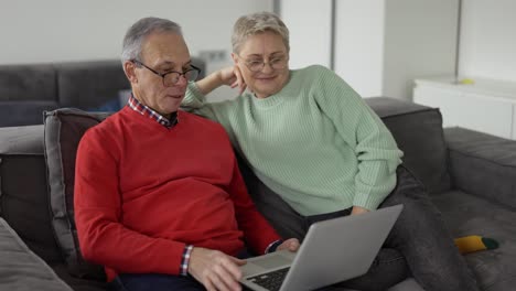 Mature-couple-looking-at-laptop,-discussing-news-sitting-on-sofa