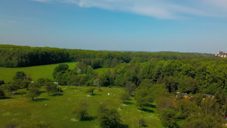 aerial view of little village in between meadows and forest during spring or summer time