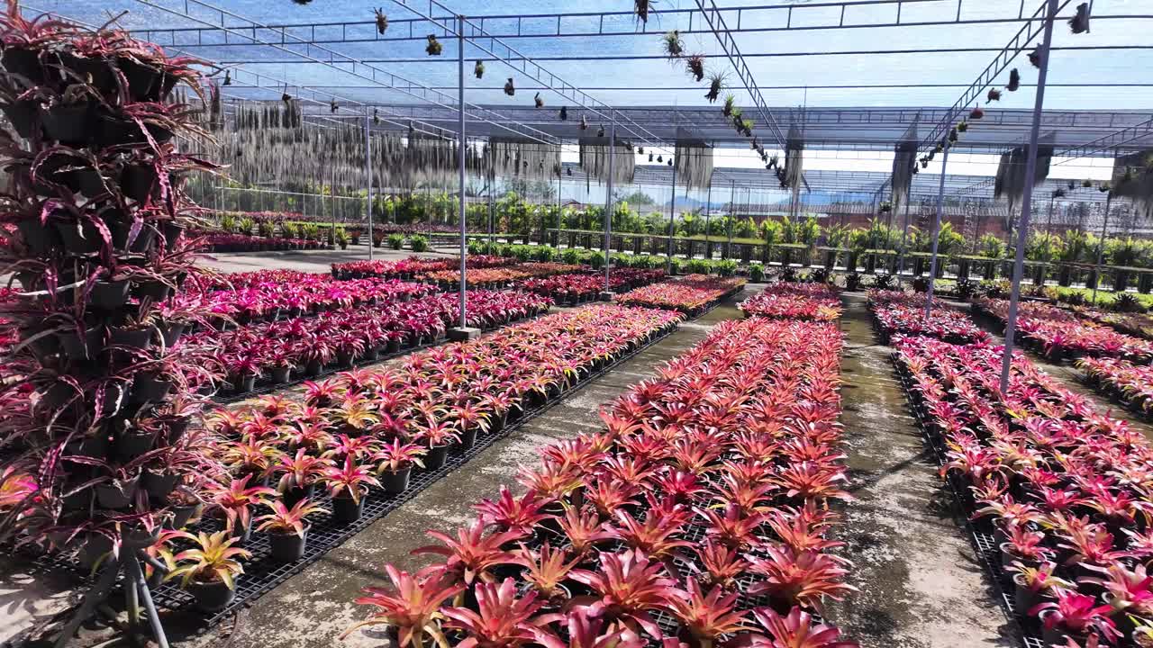 Nong Nooch Botanical Garden Pattaya Thailand tourist attraction outdoor