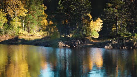 a serene autumn lake, its calm waters reflecting the surrounding forest's vibrant foliage