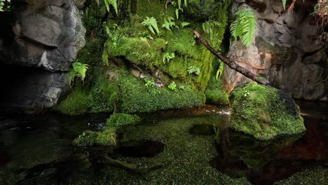 calm waterfall with lush greenery and rocks