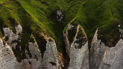 coastal cliffs with lush vegetation