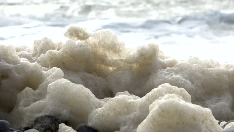 espuma de algas en tormenta en la playa, playa de arena con olas, mar del norte, jutlandia, sondervig, dinamarca, 4k