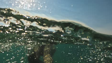 Half-underwater-rear-view-of-adult-man-swimming-with-diving-fins