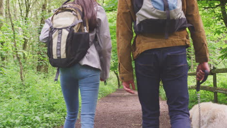 close up rear view of young couple holding hands as they hike along path through trees in countryside with pet golden retriever dog on leash - shot in slow motion