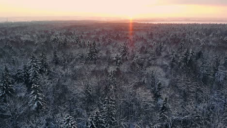 Drone-video-of-forest-in-Finnish-Lapland,-above-the-Arctic-Circle-in-winter