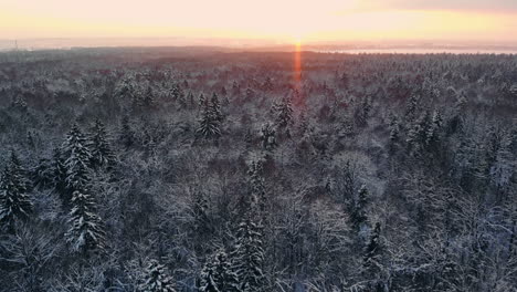 Vídeo-De-Drones-De-Un-Bosque-En-La-Laponia-Finlandesa,-Sobre-El-Círculo-Polar-ártico-En-Invierno