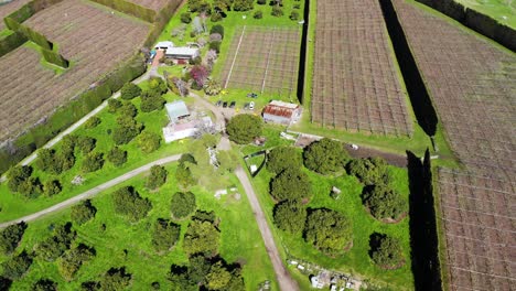 Homestead-in-New-Zealand-surrounded-by-farmland-filled-with-fruit-plants,-aerial