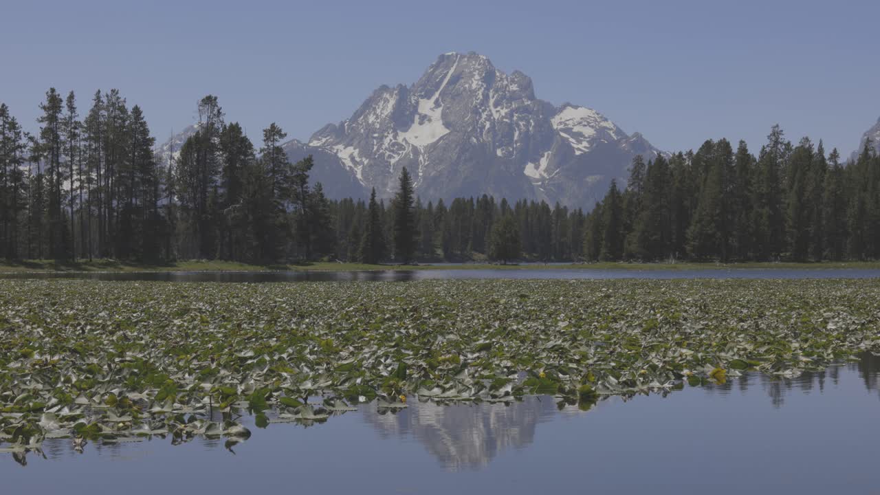 pequeño estanque en el bosque debajo de las montañas del oeste de wyoming