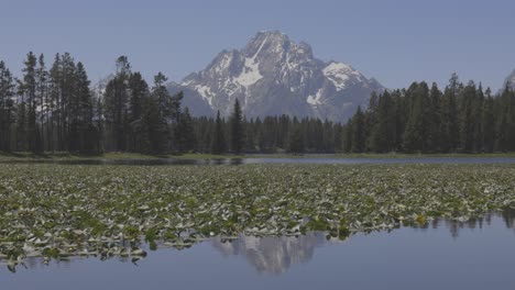 Pequeño-Estanque-En-El-Bosque-Debajo-De-Las-Montañas-Del-Oeste-De-Wyoming