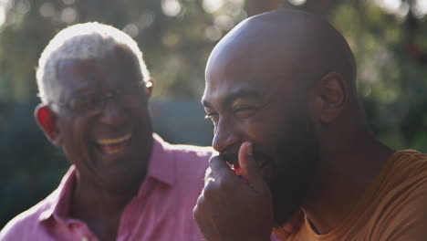 senior father talking and laughing with adult son in garden at home