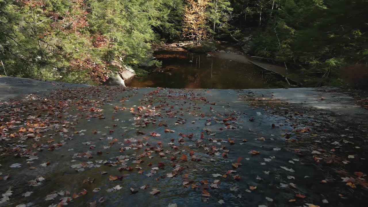 panorámica aérea de new hampshire a través de rocas cubiertas de hojas mirando el estanque debajo