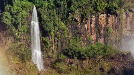 small waterfall among the atlantic forest of the iguazu national park