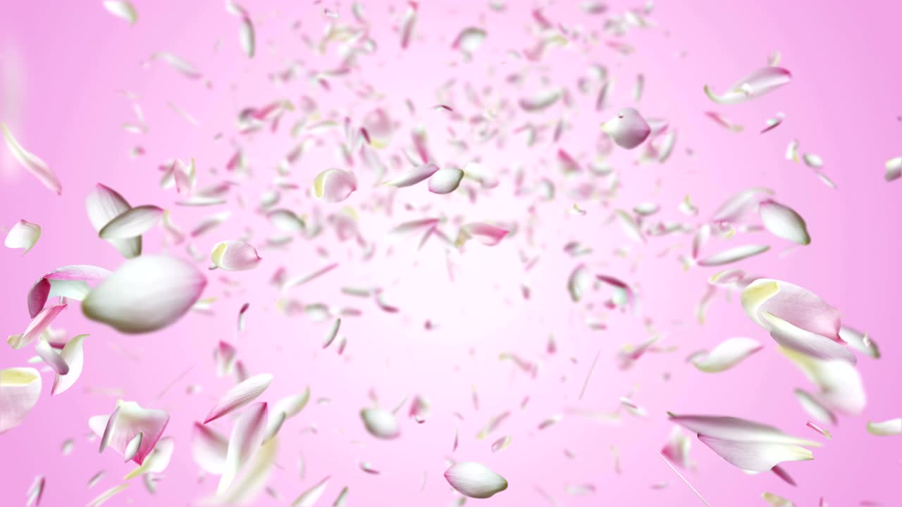 핑크 로터스 비행.