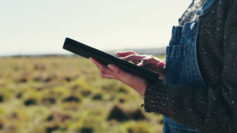 pesquisa, mãos ou tablet para a agricultura na fazenda