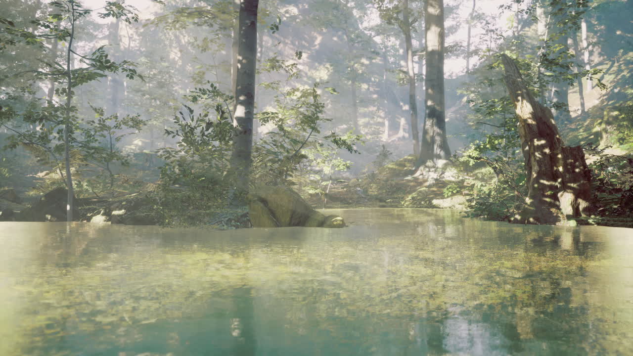 Mysterious forest pond inviting tranquility and reflection at dawn