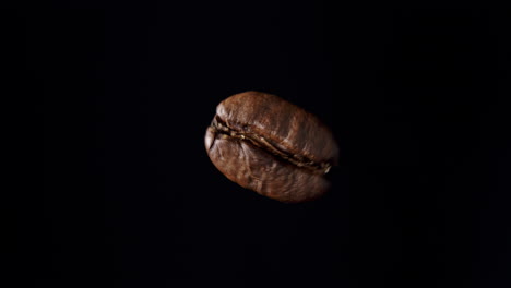 close up shot of a spinning coffee bean with black background and soft light from the left