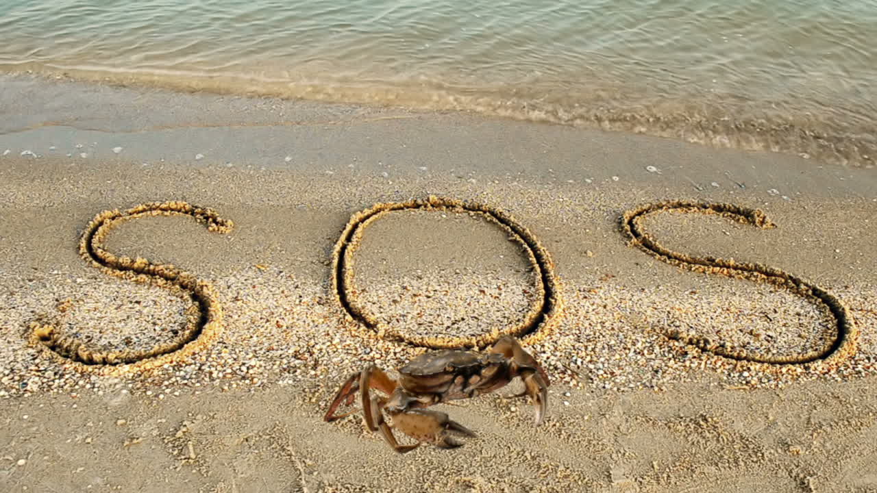 ปูและข้อความสลักบนทรายที่ชายหาด ข้อความ SOS บนทราย