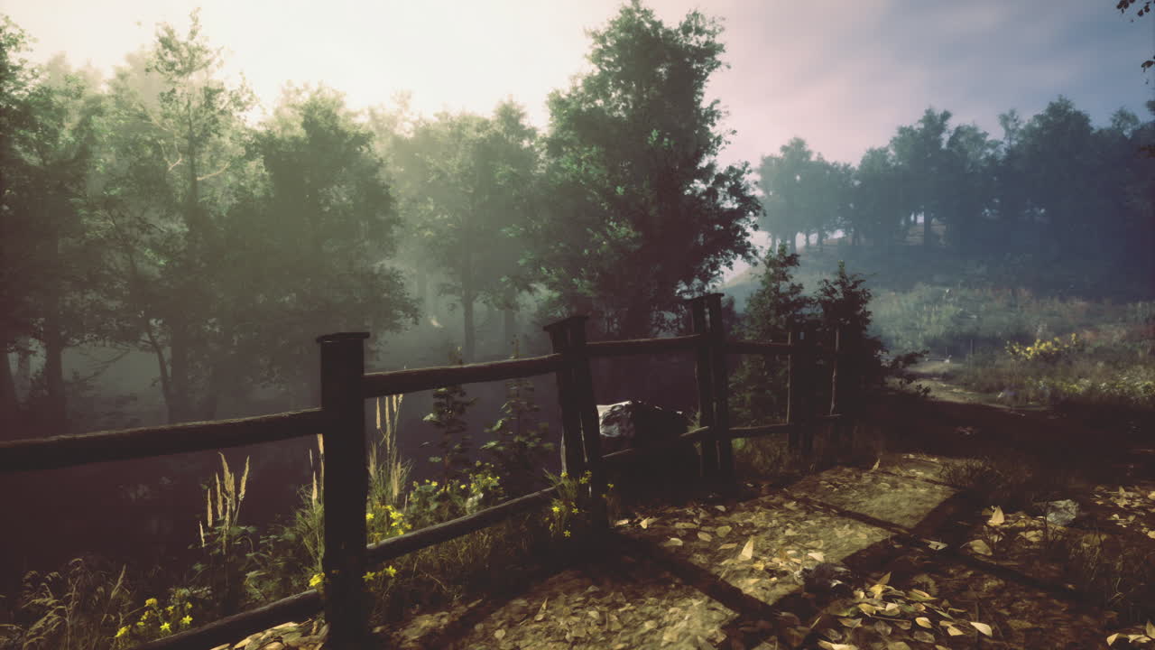 Serene pathway through a misty forest during early morning light