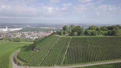 Sobrevuelo-Aéreo-De-Una-Pequeña-Colina,-Llamada-Scheuerberg,-Cuyas-Laderas-Se-Utilizan-Para-El-Cultivo-De-Uvas,-Ubicada-En-Neckarsulm,-Alemania