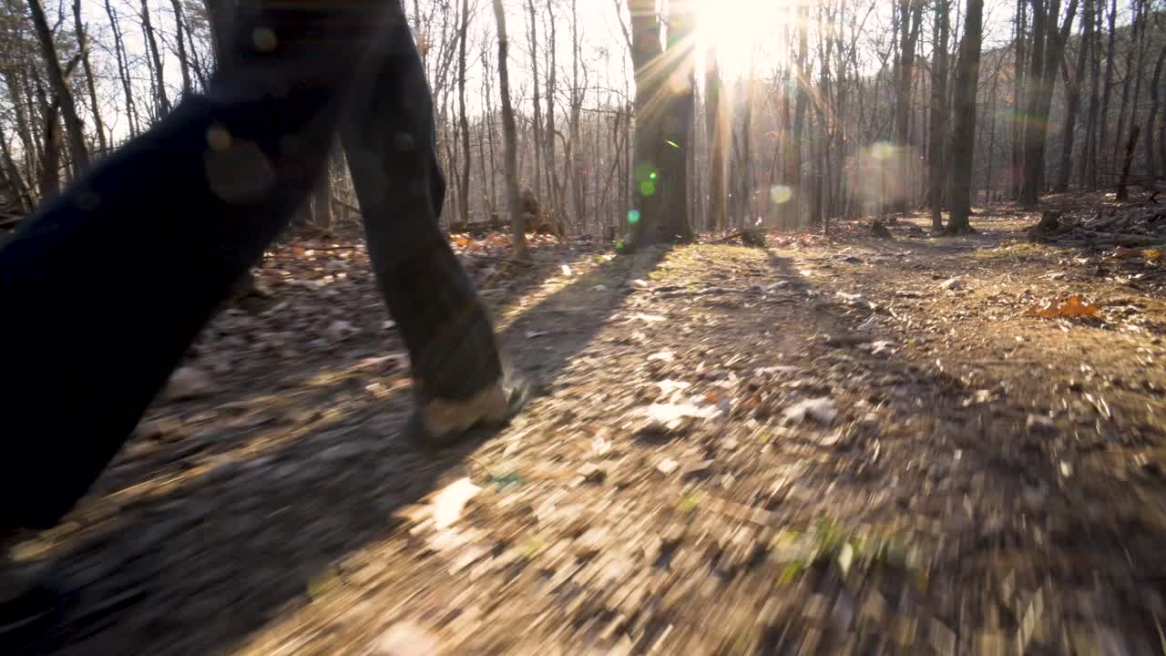 Hiking on a Forest Trail
