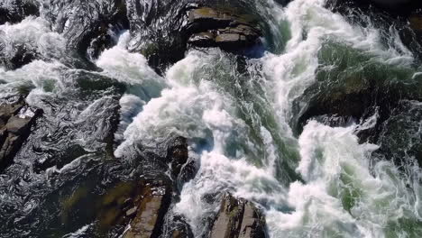 whitewater rapids in a river