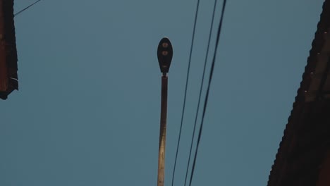 bottom view of a streetlamp between city buildings, at dusk