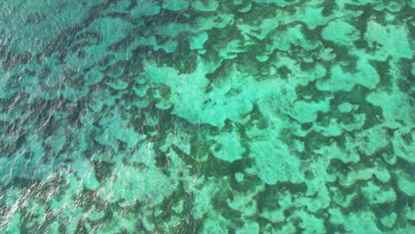 las aguas cristalinas azules y verdes de la playa de pandawa en uluwatu bali, indonesia