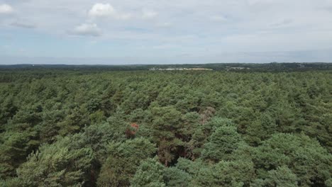 Niedrige,-Langsame-Luft-überfliegt-Die-Baumkronen-Dichter-Borealer-Wälder-In-Der-Britischen-Landschaft