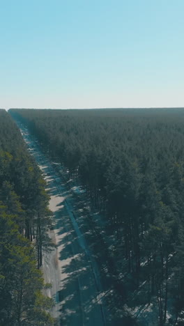 green boundless pine forests surround grey roadway with driving cars under clear blue spring sky upper view