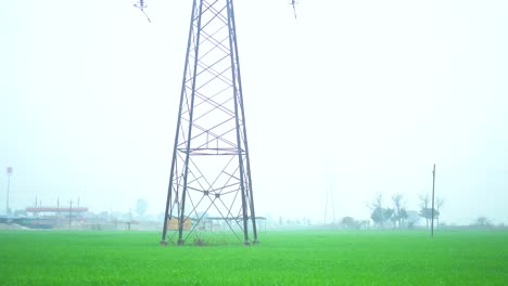 Getreidefelder-Von-Rechts-Nach-Links,-Weiter-Blick-Aus-Dem-Autofenster,-Pov,-Grüner-Winternebel-Im-Punjab