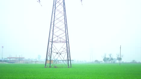 Campos-De-Cultivo-Vista-Panorámica-De-Derecha-A-Izquierda-Desde-La-Ventanilla-Del-Coche-Pov-Punjab-Verde-Niebla-Invernal