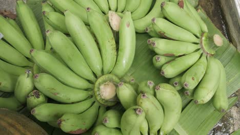 view of fresh green bunch of banana healthy