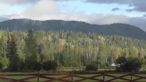 timelapse of graze horses in canada