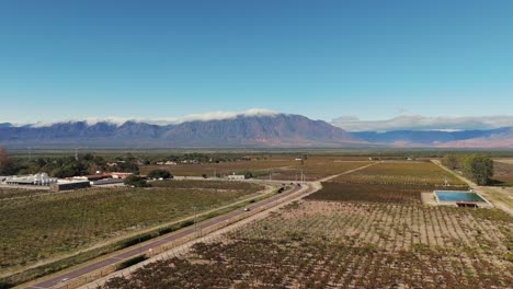 Viñedo-En-Los-Valles-Calchaquíes,-Argentina,-Plantación-De-Uva-En-América-Del-Sur.