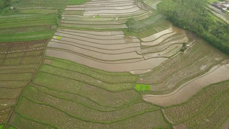 水<unk>田旁邊的公路的空中圖片